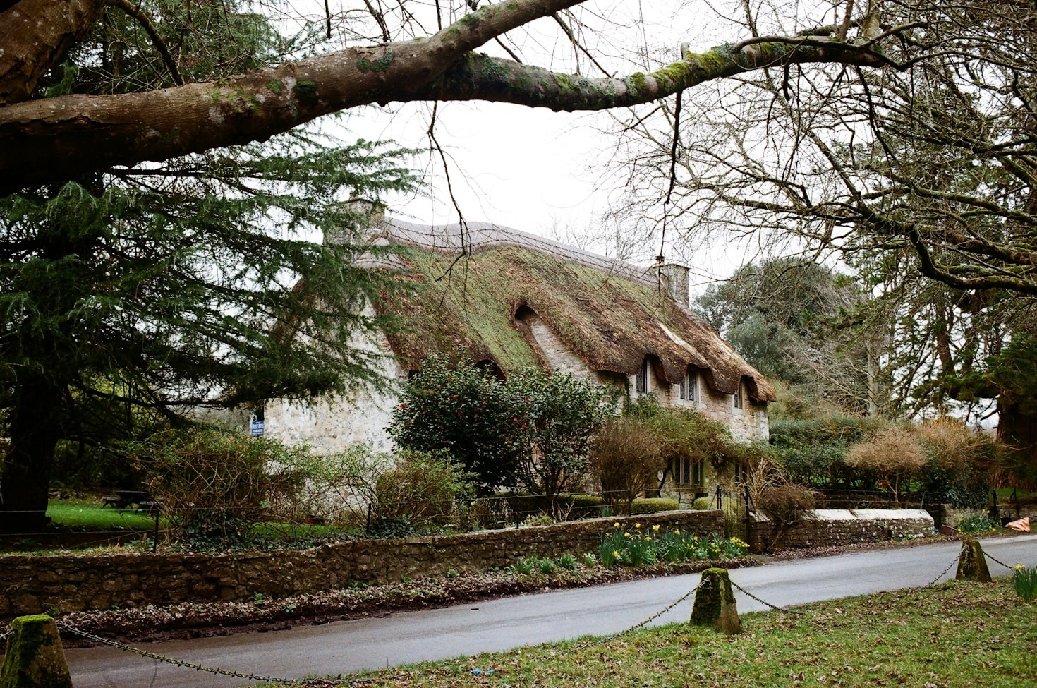 Community-Driven Travel Tips for Your Welsh Adventure